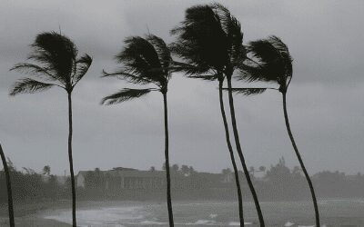 Solutions Overview: Interim Imaging Customized